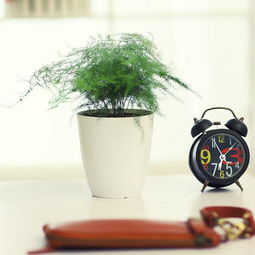 太平洋家居网产品库 点亮家居生活的装饰品与日用杂货