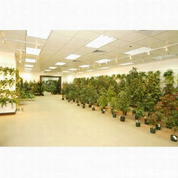 华达工厂 匠心制造，品质卓越的装饰艺术专家